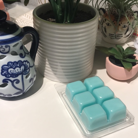 Cinnamon Rolls Wax Melt Tart Warmers Aqua Qty 1 Hand Crafted Final Sale - Picture 3 of 5